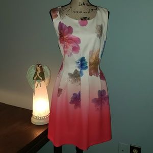 New Calvin Klein Ombre Sleeveless Pocket Dress